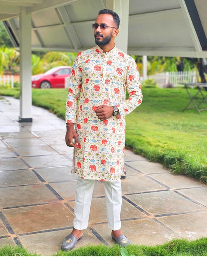 Festive Mirror Work Elephant Printed Kurta